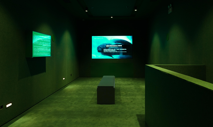 追寻消失的记忆，他为“声音”构建家园——秦思源专访