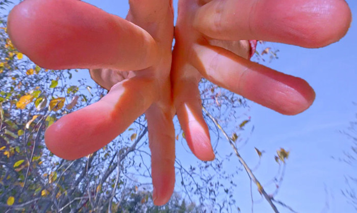 《信手不渝》：一双巨手将亮相M+幕墙 见证全球游客重聚香港