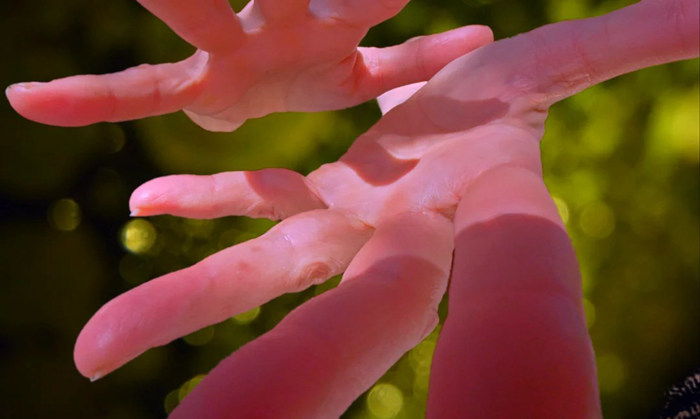 《信手不渝》：一双巨手将亮相M+幕墙 见证全球游客重聚香港