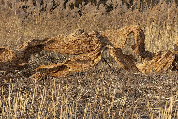 专访石梅:“墟”实之间 时间留痕