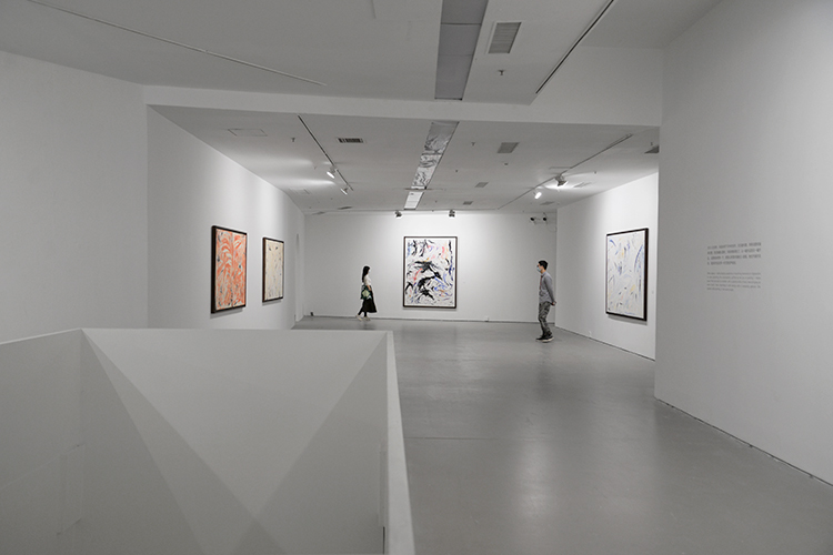 带来“太阳背后”的世界:玛莉·德维尔潘个展在京开幕