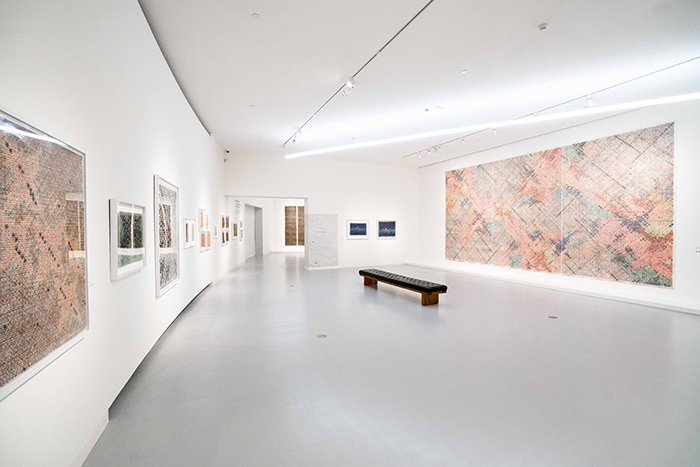 《故乡与旅程——丁乙个展》开幕:“十示”和“星座”交相辉映