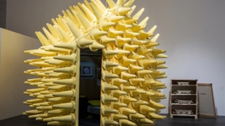 “泛东南亚三年展”为中国双/三年展带来的新启示——陈晓阳专访