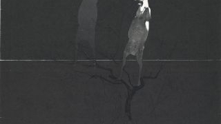 《以梦为马之四》- 周志奋