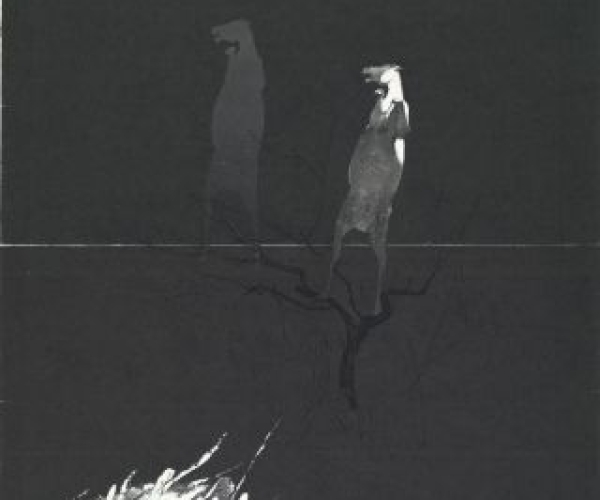 《以梦为马之四》- 周志奋