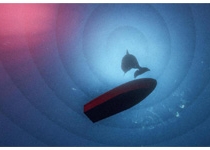 亚洲数字艺术展，有机生命与无机智能的关系值得深思