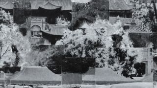 失焦的真实-他者视角 NO.10