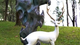 如切如磋，如琢如磨——再谈“王大朋现象”